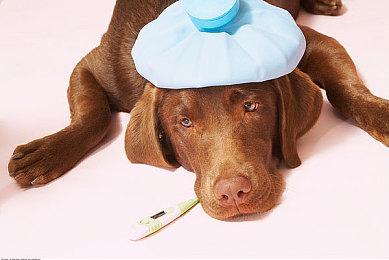 雅达利重新注册上世纪游戏开发工作室Ocean商标